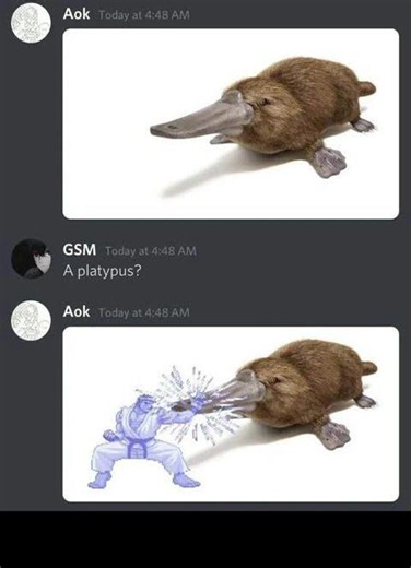 Insert clever platypus joke here