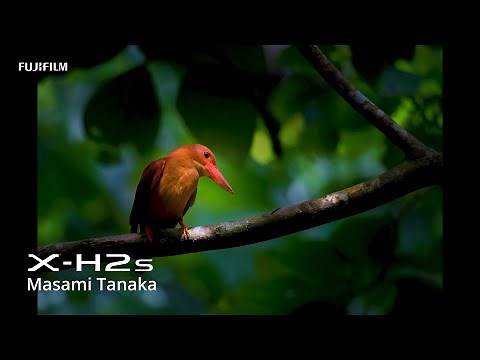 X-H2S: Bird photography by Masami Tanaka/ FUJIFILM
