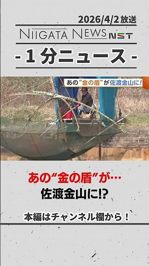 【佐渡市】あの“金の盾”が佐渡金山に！？観光シーズンへ期待膨らむ #佐渡島の金山 #世界遺産 #佐渡市 #新潟
