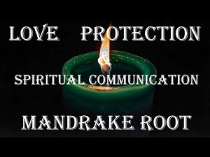 The Mystical Powers of Mandrake Root in Witchcraft 🌿✨