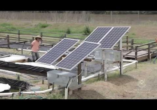 Farm Based Algae Production