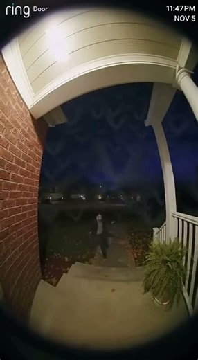 Swarm of Bats Pulls Person Off-Screen! 🦇📹