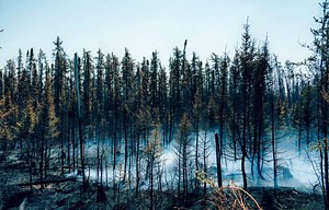 La sens-tu, l’apocalypse? Va dehors, elle a une odeur de fumée