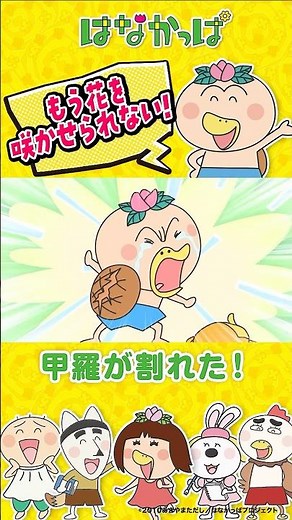 「もう花を咲かせられない！」 【#はなかっぱ 】「甲羅が割れた！」 #アニメ