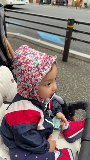 Pukulai Nid Lagyo Re - Nepali Folk Song