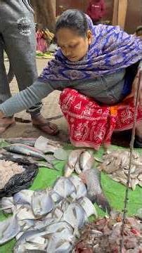 Mummy ne kaha Thand ke liye itna Varieties machli lana band😭🐠#minivlog #dailyvlog #shorts #vlogs