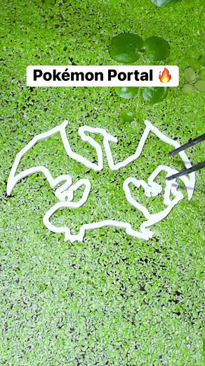 Pokémon Portal 🔥 #Pokémon | Aquarium Info