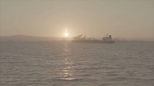 2.3K views · 28 reactions | Playing Wicked Delight at Sea: Freelife...