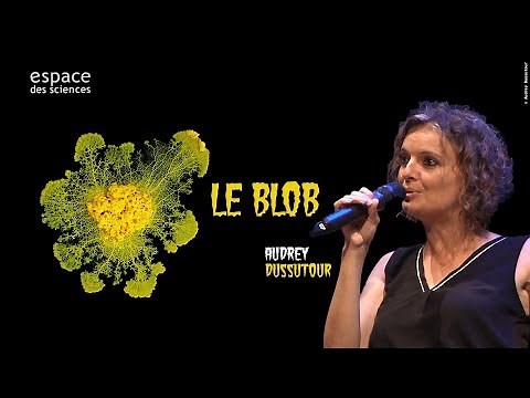 [Audrey Dussutour] Le Blob