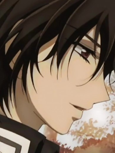 sziasztok hát visszatértem véglegesen szóval itt maradok! #vampireknight #kurankaname #kiryuzero #aidohanabusa #souenruka #fyp #foryou