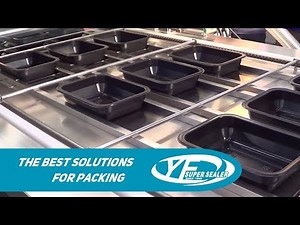 Skin Packaging Machine with Vacuum and Gas Flush (ET-55ML3VGF) - YF SUPER SEALER