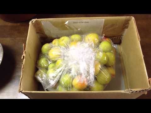 重石もカメもいらない簡単梅干しの作り方 How to make Umeboshi(Pickled Japanese Ume) Vol.1