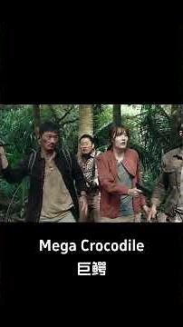 A man was kidnapped by a man-eating plant! |【巨鳄 Mega Crocodile】|YOUKU MOVIE | 优酷电影