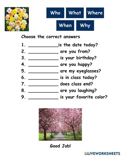 The Question Words starting with Wh interactive worksheet