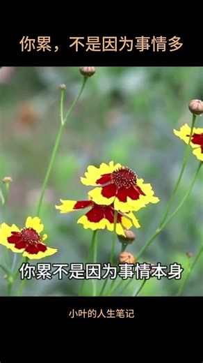 你累，不是因为事情多 #快乐#快乐不是拥有的多而是计较的少#人生感悟#心灵成长#减少内耗#放下执念#情绪管理#心态决定一切#活得通透#正能量#看开#学会放下#简单生活