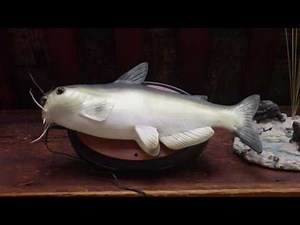 Gemmy Singing Catfish #2
