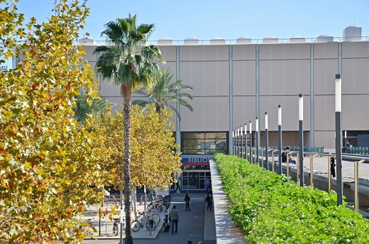 International student