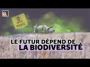 Biodiversity, a tool for the future [Marc-André Selosse]