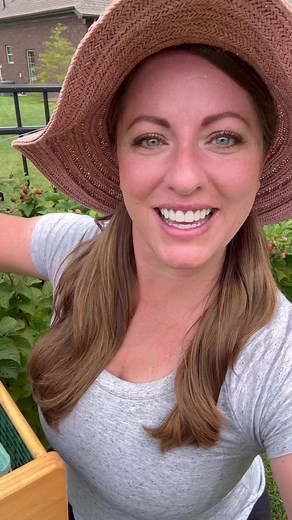 422K views · 31K reactions | Come harvest with me in my kitchen garden. #gardening #organicgarden #kitchengarden #backyardgarden #harvest #harvestwithme #HarvestVideo #growyourownfood #growyourownflowers #homegarden | From Dream to Seed | Facebook