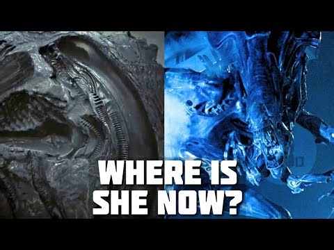 What Happened to the QUEEN ALIEN From Aliens?