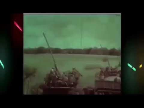 Eins zwei polizei 30 minutes