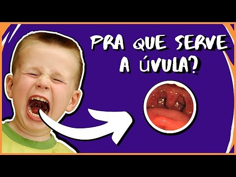 QUAL A FUNÇÃO DA ÚVULA? PRA QUE SERVE A ÚVULA? | MK Fisiologia