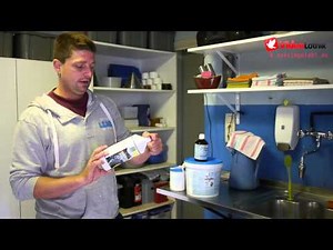 Jelle Roziers - Stars of Pigeon Racing Sport [ENG]