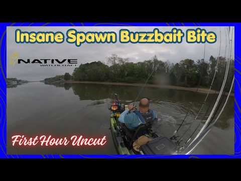 The FIRST Hour Was INSANE! Buzzbait Spawn Bite 🔥 (Chickamauga Kayak Tournament)