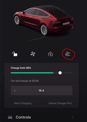 Customising Tesla App