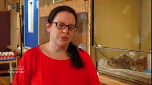 Steffi Rackl ist Glucke aus Leidenschaft: Bei Cham betreibt sie eine Lohnbrüterei und brütet gegen Bezahlung Eier aus für Geflügelhalter und Züchter - eine absolute Nische. 🐣 Für Steffi Rackl ist es aber mehr als nur ein Saisonjob: Sie kämpft um jedes Leben das im Ei entsteht. 🐥🐔❤ | BR - Bayerischer Rundfunk