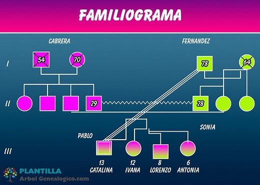 ▷ 🤓 Familiograma - Que es, sus símbolos y como hacerlo !