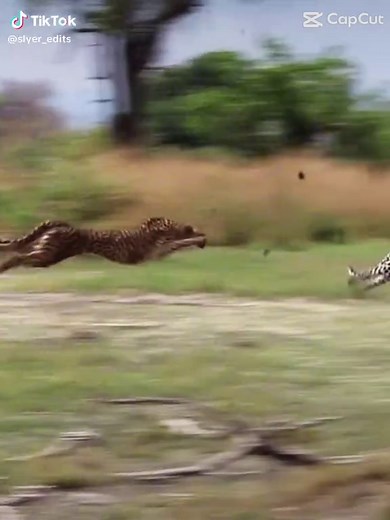 slyer_edits على TikTok