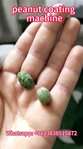 Peanut Coating Machine Working Video | Industrial Peanut Coating Process for Snack Production