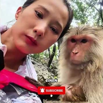 **Das Mädchen und die Affenmutter – Eine wahre Freundschaft 🐵❤️**