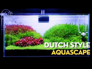 Dutch Style Aquascape | Planted Aquarium