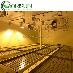 [Hot Item] Aquaponic Growing Ebb and Flow Hydroponic Trays Flood Table in Europe