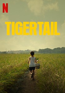 Tigertail streaming: where to watch movie online?