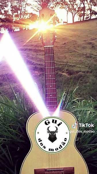 Resposta ao bombardeio - Tião carreiro e pardinho #modadeviola #guidosmodao #modao #catira #sertanejo #agro #violacaipira #viral