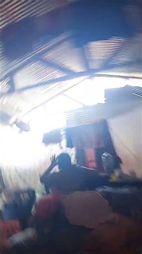 15 de noviembre de 2025