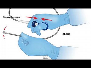 HCC 1472-Lesson 9a Tissue biopsy and handling