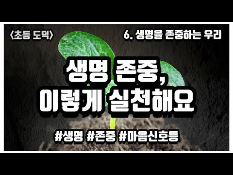 |초등도덕| 생명 존중, 이렇게 실천해요 | 3학년 2학기, 6단원 생명을 존중하는 우리 | 마음 신호등 | 생명 존중 |