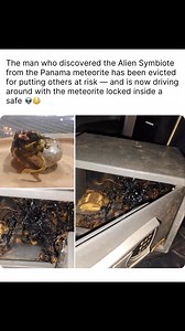73K views · 1.1K reactions | THOUGHTS ⁉️ The man who discovered the Alien Symbiote from the Panama meteorite has been evicted for putting others at risk — and is now driving around with the meteorite locked inside a safe  #foocommunity #latinocommunity #aliens #ufo #fyp #reels | Soy Tan Tejano | Facebook