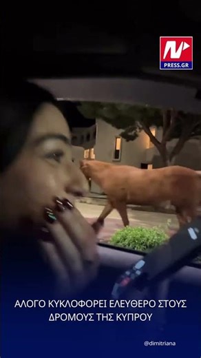 Άλογο κυκλοφορεί ελεύθερο σε δρόμους της Κύπρου