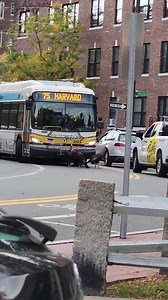 What MBTA bus drivers have to deal with in Harvard Square... 📹: @becabahia | Only In Boston