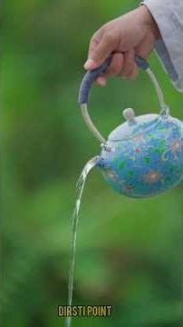 चिनियाँ चाँदीको फिलीग्री इनामेल चियादानी बनाउने एउटा अद्भुत कला#fyp #reelsviral #nepalireels