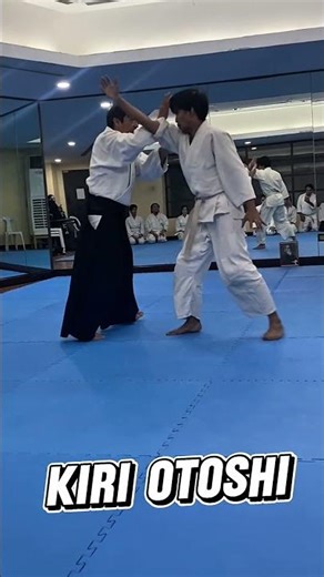 Advance Aikido Throwing Techniques