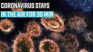 Can you kill Coronavirus by using steam iron? This banker's 'innovative' idea goes viral [VIDEO]