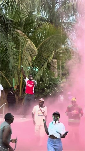 Color Festival Reloaded