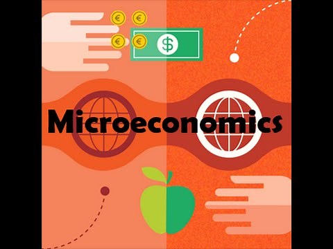 What is Microeconomics?