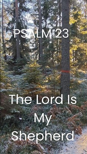 The Lord Is My Shepherd | Psalm 23 KJV #truth #scriptureexplained #motivation